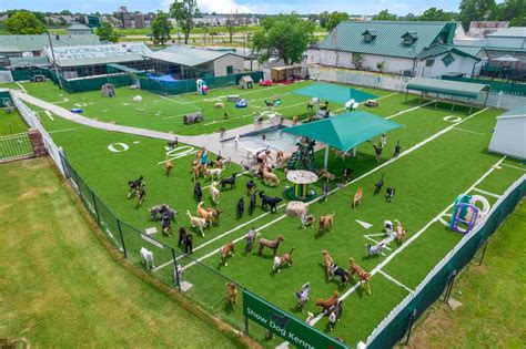Woodland pet resort - Woodland West is an all-inclusive Pet Resort that your whole family will absolutely love and trust! We’re located right off Highway 75, near Tulsa Hills shopping center.